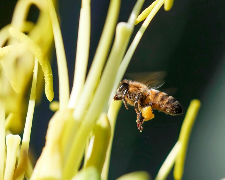 pexels-jmhcarriger-35151815